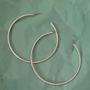 Elegant Silver Hoop Earrings